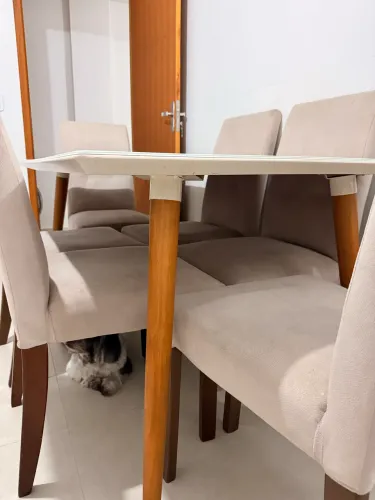 Mesa de jantar de 1,60 (com 6 cadeiras)