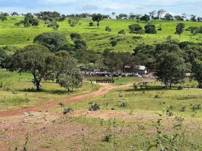 Fazenda de 264 alqueires com aptidão agrícola em Dois Irmãos Tocantins