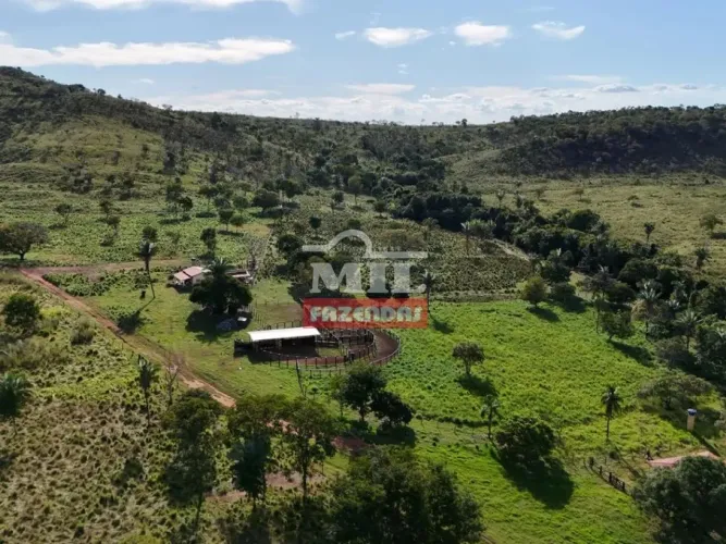 Fazenda 56 Alqueires (271 Hectares) Gurupi - To