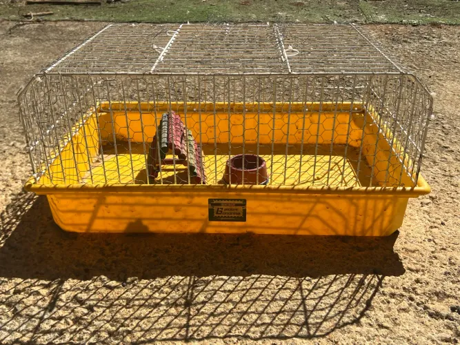 Gaiola grande hamster 
