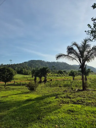 Sítio na Vicinal Tatajuba - Cantá/RR