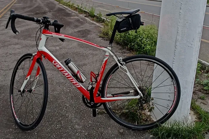 Specialized Sectur