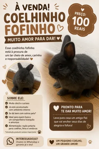 Coelhinho
