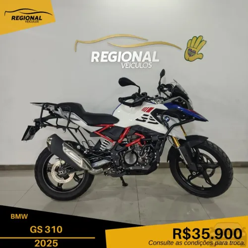G 310 GS