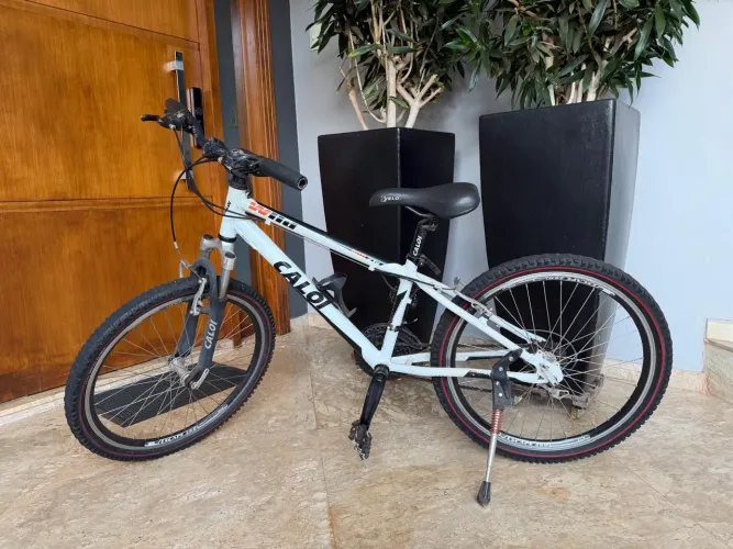 Bicicleta Caloi Wild Aro 24