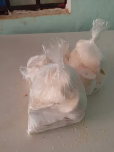 Alimentos: mandioca nova cozinha bem amarela e branca