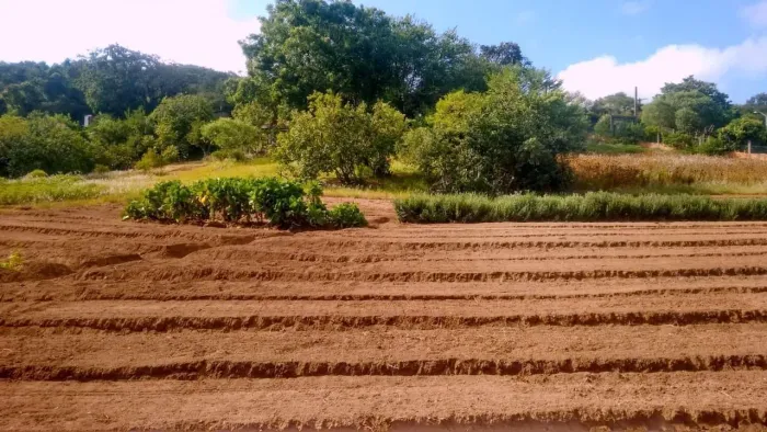 ATENÇÃO LINDA ÁREA DE 12.335,90 M2 PLANA E PLANTADA ESTUDO CARRO E IMOVEL NO PAG