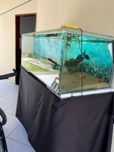 Aquário grande 350 litros mais samp