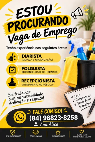 Sou diarista