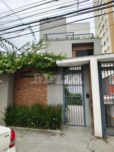 Condomínio, Vila Monte Alegre - São Paulo