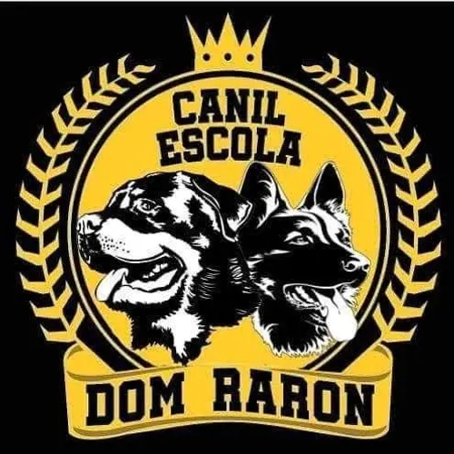 Adestramento cães