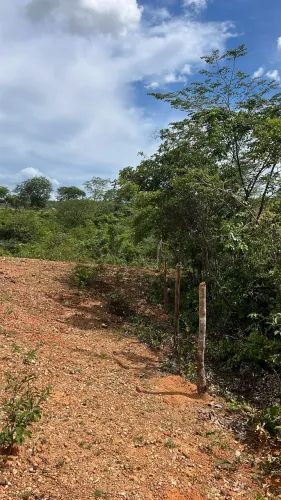 Chácara 15 KM de Montes Claros
