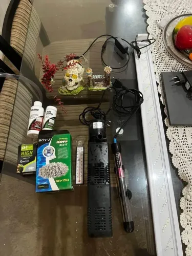 Itens de aquário 