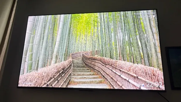 Tv TCL 50 polegadas apenas 3 meses de uso, motivo da venda : Mudança