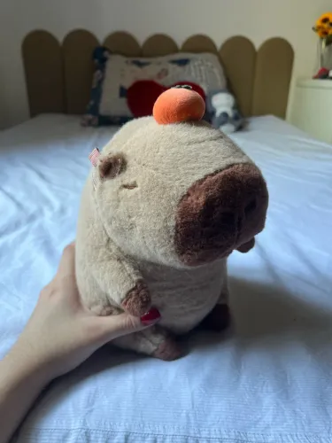 urso de pelúcia-capivara