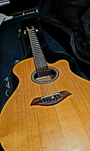 Violão gianini 12 cordas (2008 / 2010)