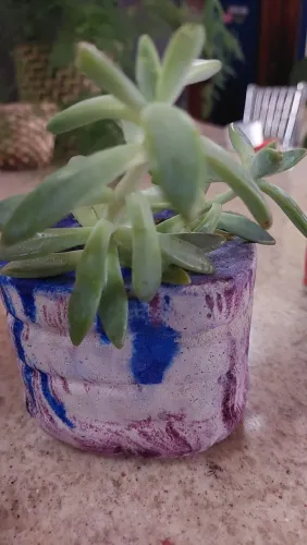 Mini vasinhos (arte em cimento)