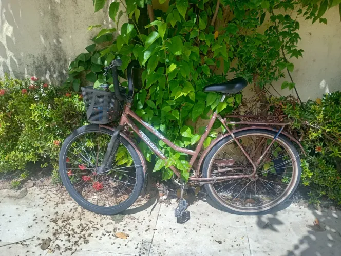 Bicicleta de passeio