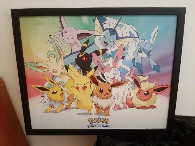 Quadro Pokemon