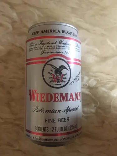 Lata Wiedermann Década de 90