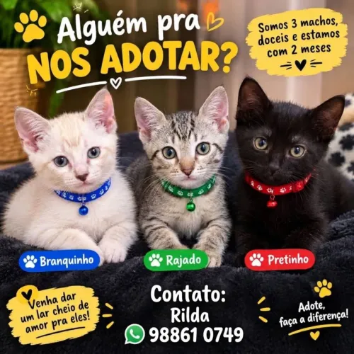 3 MACHOS LINDOS