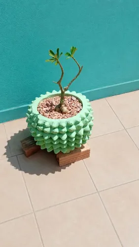 Vaso com plantas