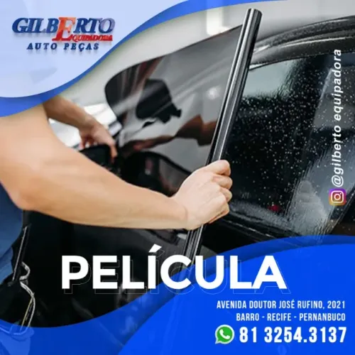 Pelicula Fumê Profissional