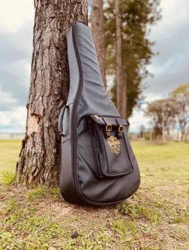 Suite case 91 guitars