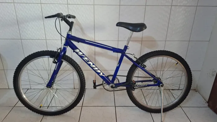 Bicicleta Wendy Aro 24 Infantil