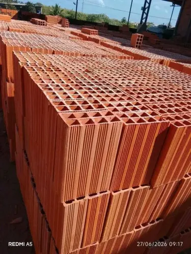 Tijolos 19x29 valor 1600