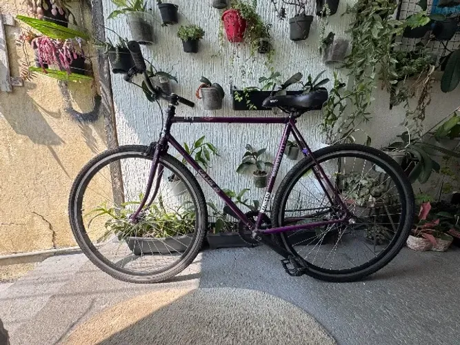 Bicicleta Caloi 10 fixa ou singular 