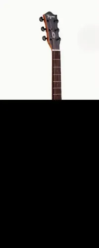 Vendo violão batato .