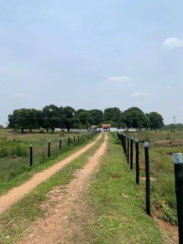 COD.536 Fazenda a venda na região de Campo Grande / MS.