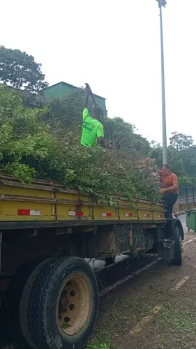 Serviço de jardinagem, pordas,supressão, paisagismo controle de pragas