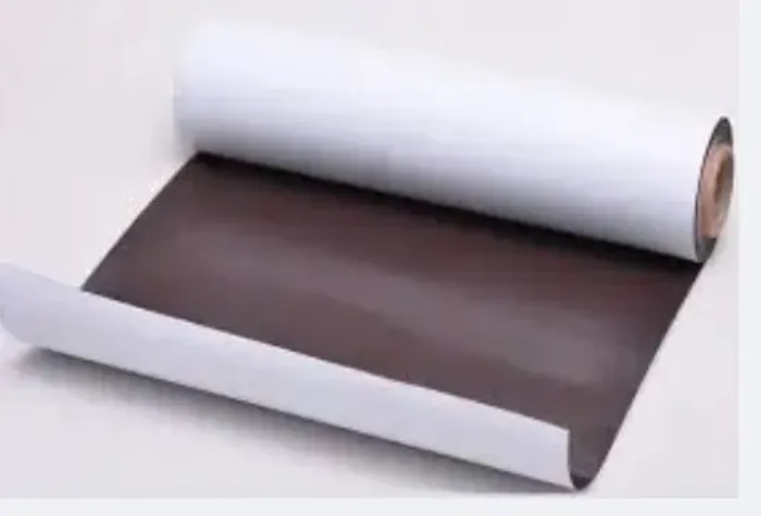 Imã Manta magnética geladeira imantada imada ima adesivada mimo lembrancinha