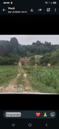 Vendo terreno plano e mecanizado em Bocaiuva do Sul