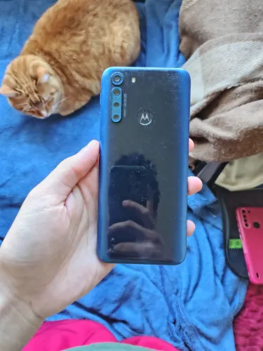 Celular