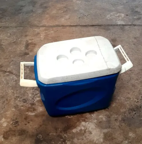Cooler/Caixa Térmica 45L Grande - Ideal para Praia, Churrasco e Camping