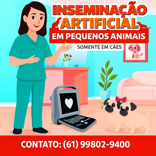 Inseminação artificial em cães 
