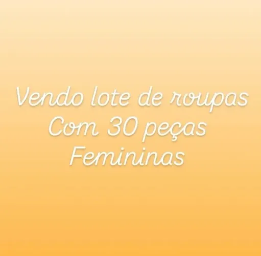 Vendo lote de roupas com 30 peças femininas 