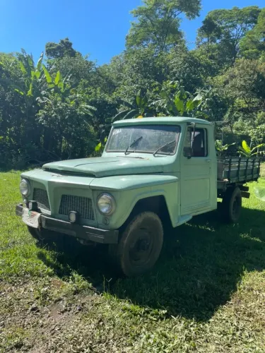 Ford F-75 4X4 2.3 1965