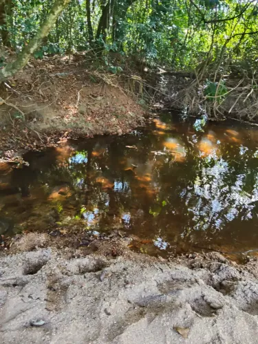 SÍTIO A venda com 190000 metros quadrados com 4 quartos