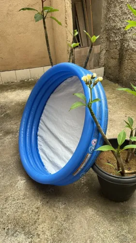 Piscina infantil redonda 