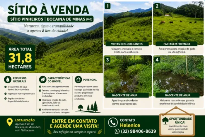 Sítio à venda. Sítio Pinheiros com 31,8 ha, - Bocaina de Mina