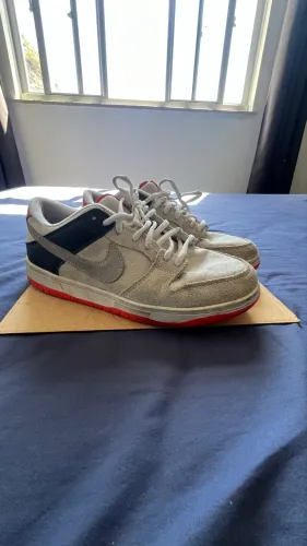 Nike dunk