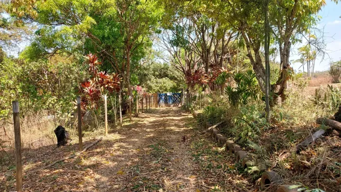 Chácara 9.030m² escriturada com água e muita natureza!
