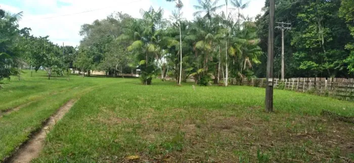FAZENDA 33 HECTARES EM BENEVIDES PA VENDA