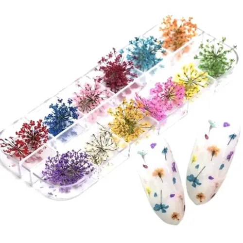 Flores Secas Para Decoração De Unhas 12 Cores Encapsulamento