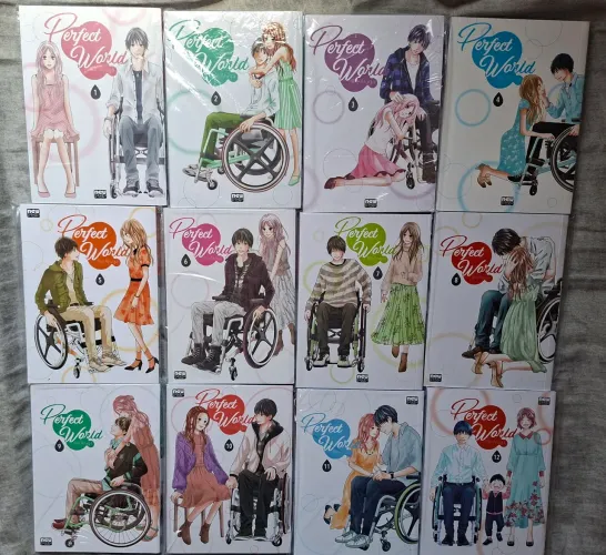 Perfect World - 1 ao 12 (Completo)