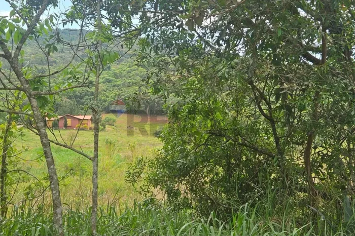 Fazenda Montueira com 51,70 ha à Venda em Carmópolis de Minas/MG